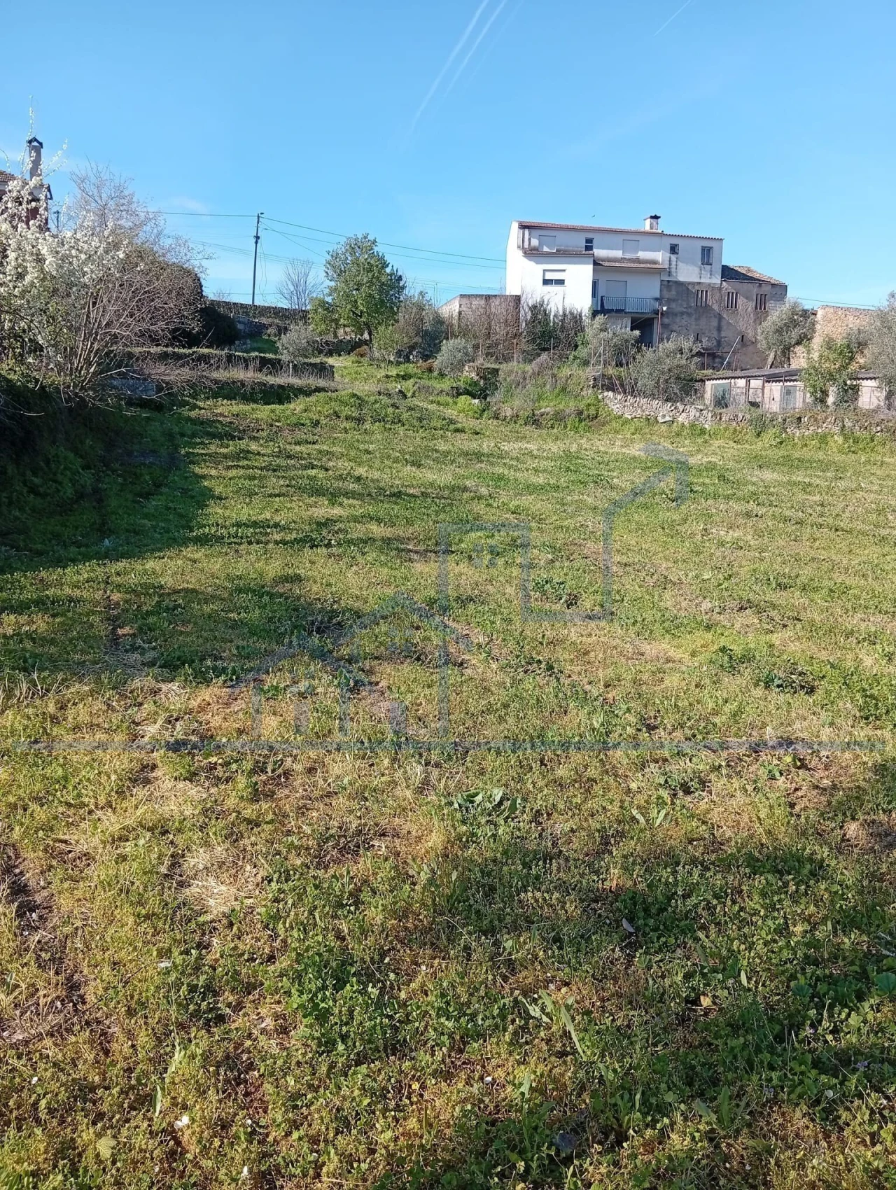 Terreno para Venda em Felgar e Souto da Velha Foto 11