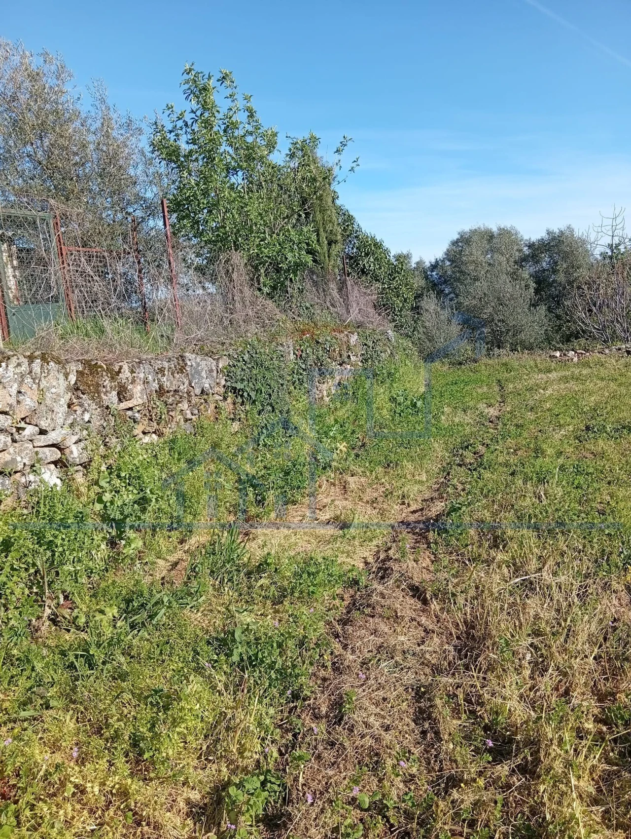 Terreno para Venda em Felgar e Souto da Velha Foto 9