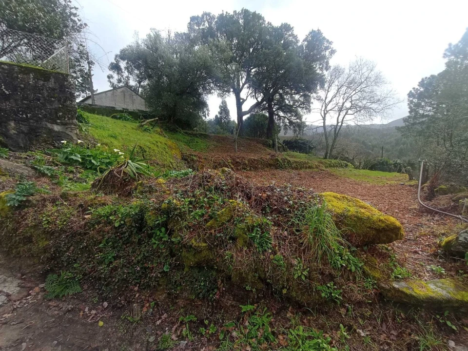 Terreno para Venda em Cerdal Foto 3