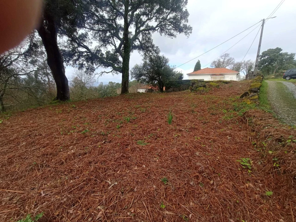 Terreno para Venda em Cerdal Foto 4