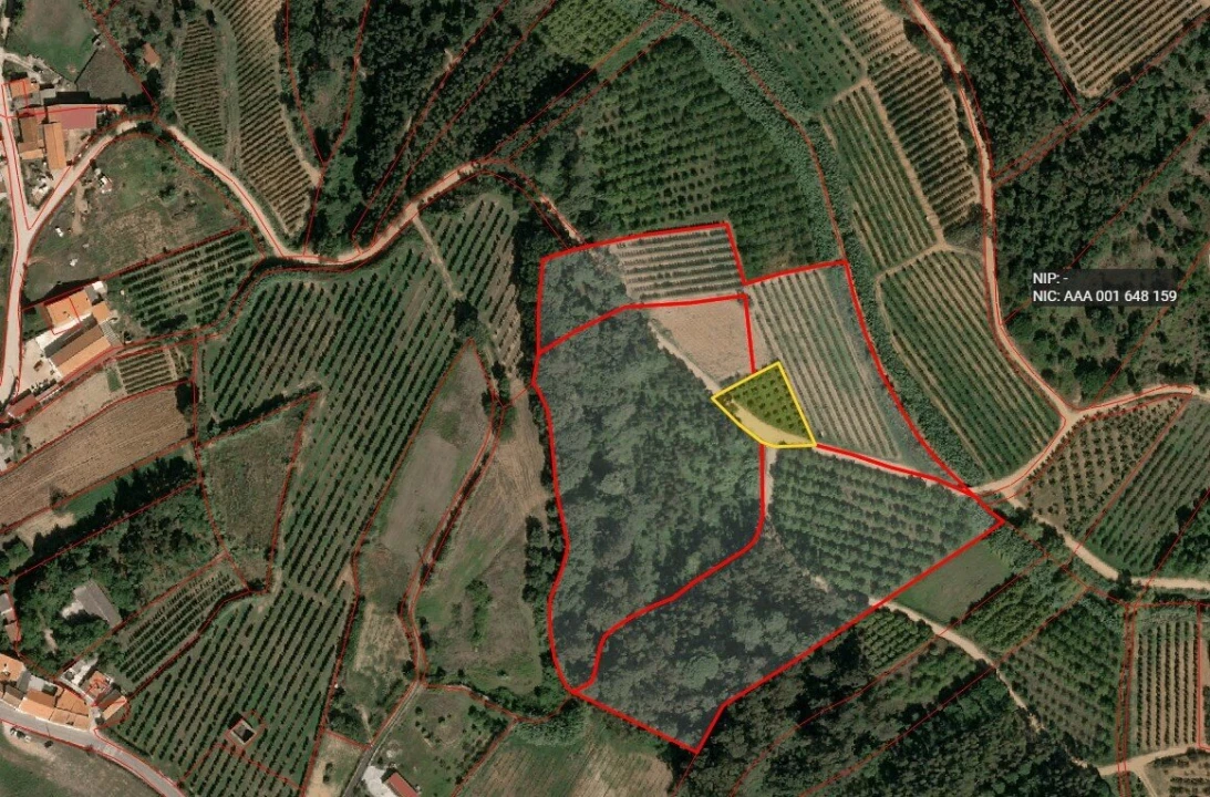 Terreno para Venda em A dos Negros Foto 2
