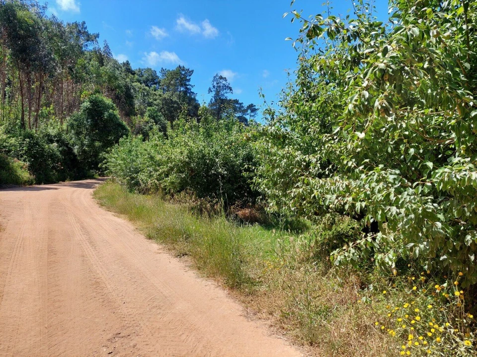Terreno para Venda em A dos Negros Foto 5