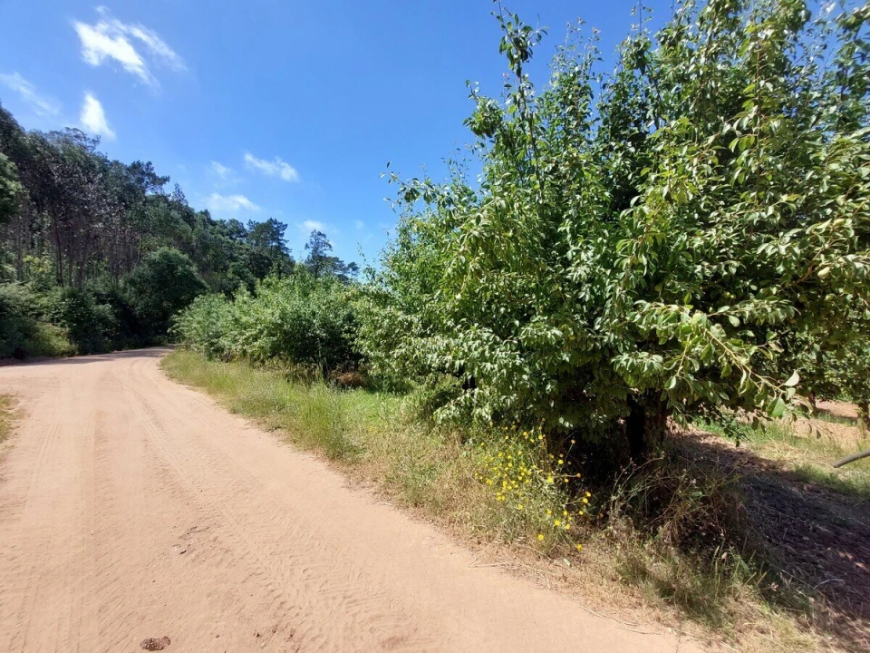 Terreno para Venda em A dos Negros Foto 6