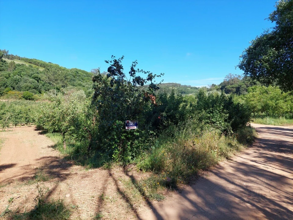 Terreno para Venda em A dos Negros Foto 7