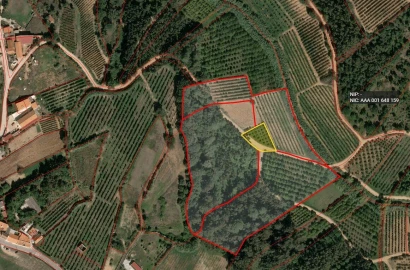 Terreno para Venda em A dos Negros