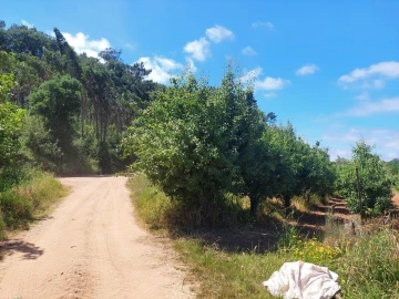 Terreno para Venda em A dos Negros