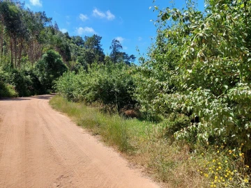 Terreno para Venda em A dos Negros