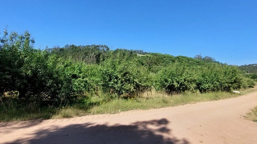 Terreno para Venda em A dos Negros