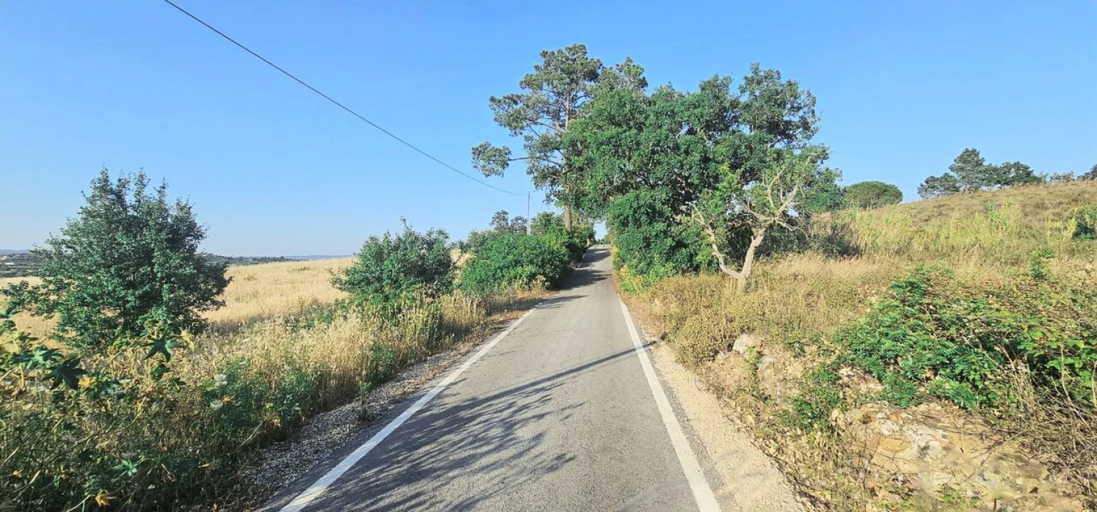 Terreno para Venda em Alcantarilha e Pêra Foto 6