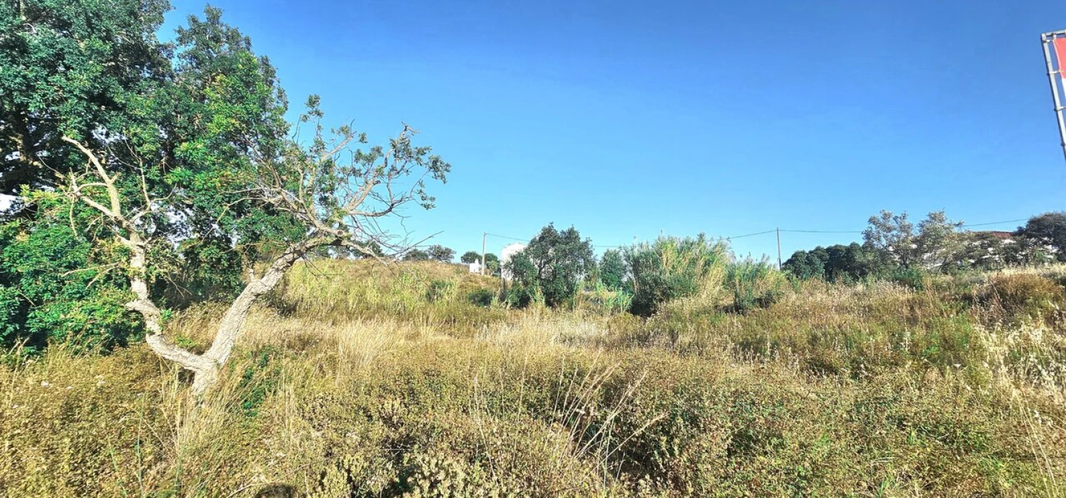 Terreno para Venda em Alcantarilha e Pêra Foto 7
