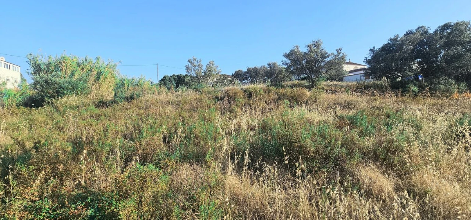 Terreno para Venda em Alcantarilha e Pêra Foto 8