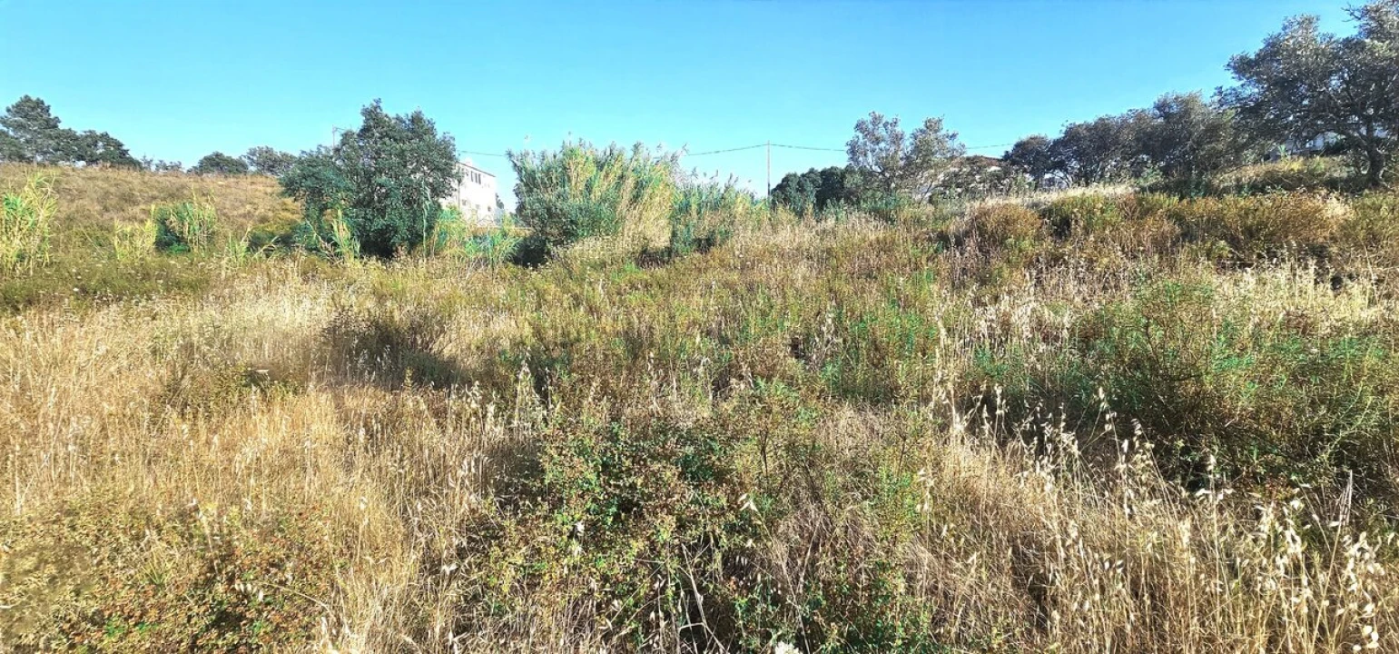 Terreno para Venda em Alcantarilha e Pêra Foto 1