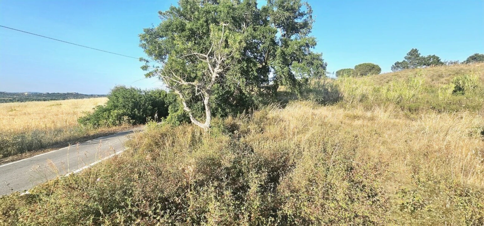 Terreno para Venda em Alcantarilha e Pêra Foto 9