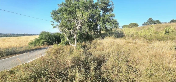 Terreno para Venda em Alcantarilha e Pêra