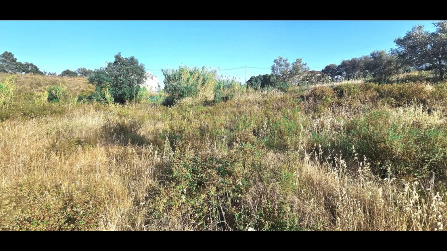 Terreno para Venda em Alcantarilha e Pêra