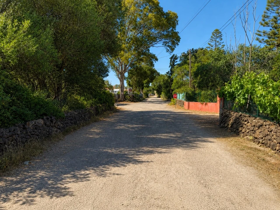 Terreno para Venda em Algoz e Tunes Foto 1