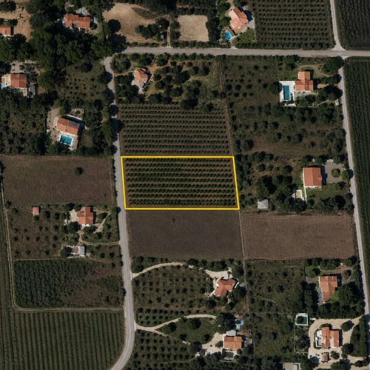 Terreno para Venda em Algoz e Tunes Foto 3