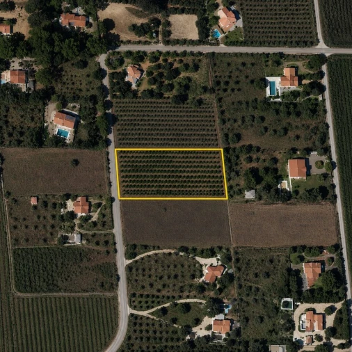 Terreno para Venda em Algoz e Tunes Foto 3