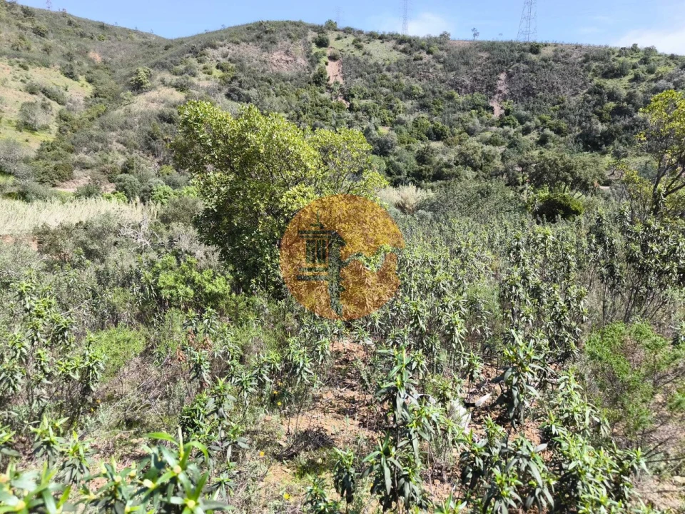 Terreno para Venda em Santa Catarina da Fonte do Bispo Foto 13