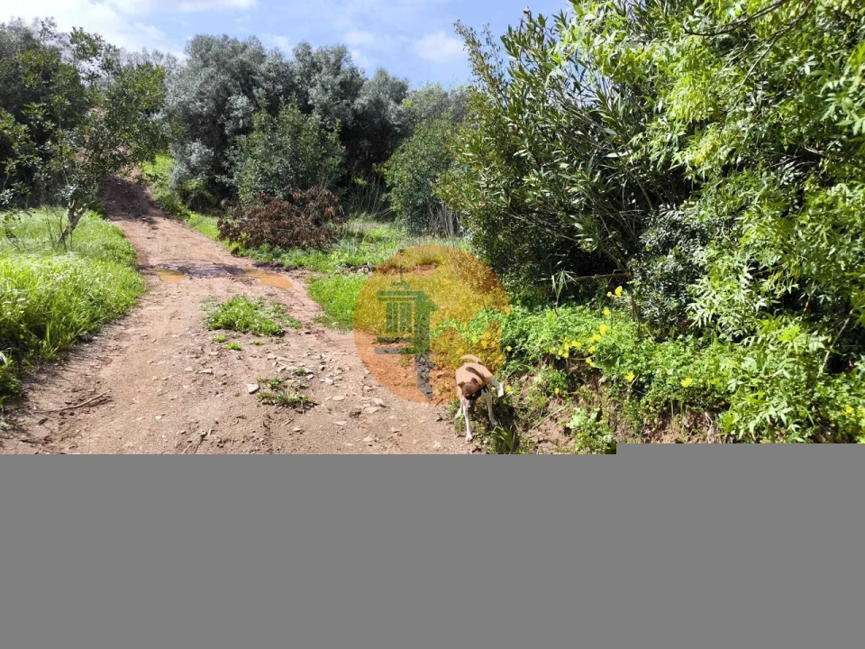 Terreno para Venda em Santa Catarina da Fonte do Bispo Foto 30
