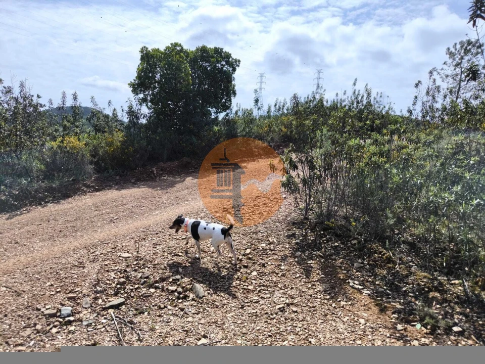 Terreno para Venda em Santa Catarina da Fonte do Bispo Foto 31