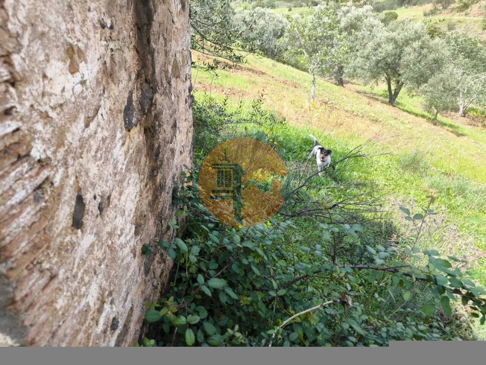 Terreno para Venda em Santa Catarina da Fonte do Bispo Foto 38