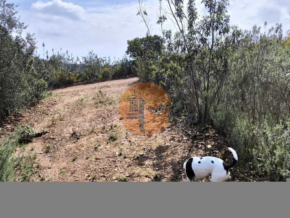 Terreno para Venda em Santa Catarina da Fonte do Bispo Foto 40