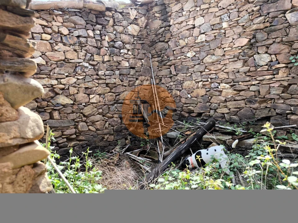 Terreno para Venda em Santa Catarina da Fonte do Bispo Foto 49