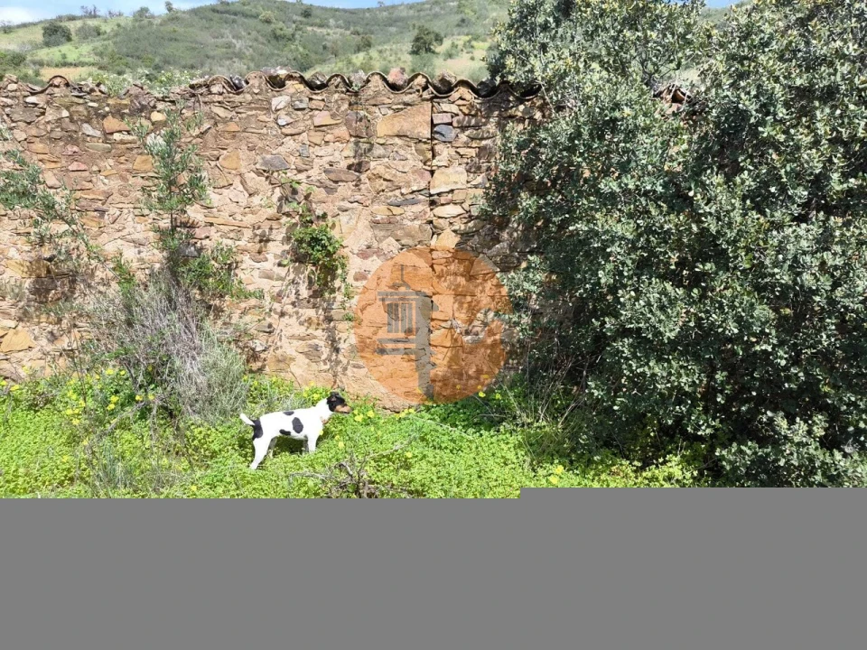 Terreno para Venda em Santa Catarina da Fonte do Bispo Foto 51