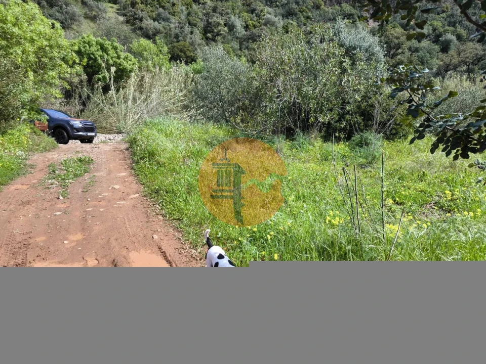 Terreno para Venda em Santa Catarina da Fonte do Bispo Foto 64
