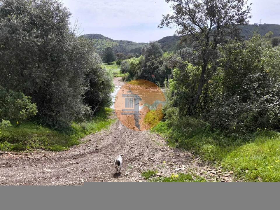 Terreno para Venda em Santa Catarina da Fonte do Bispo Foto 67