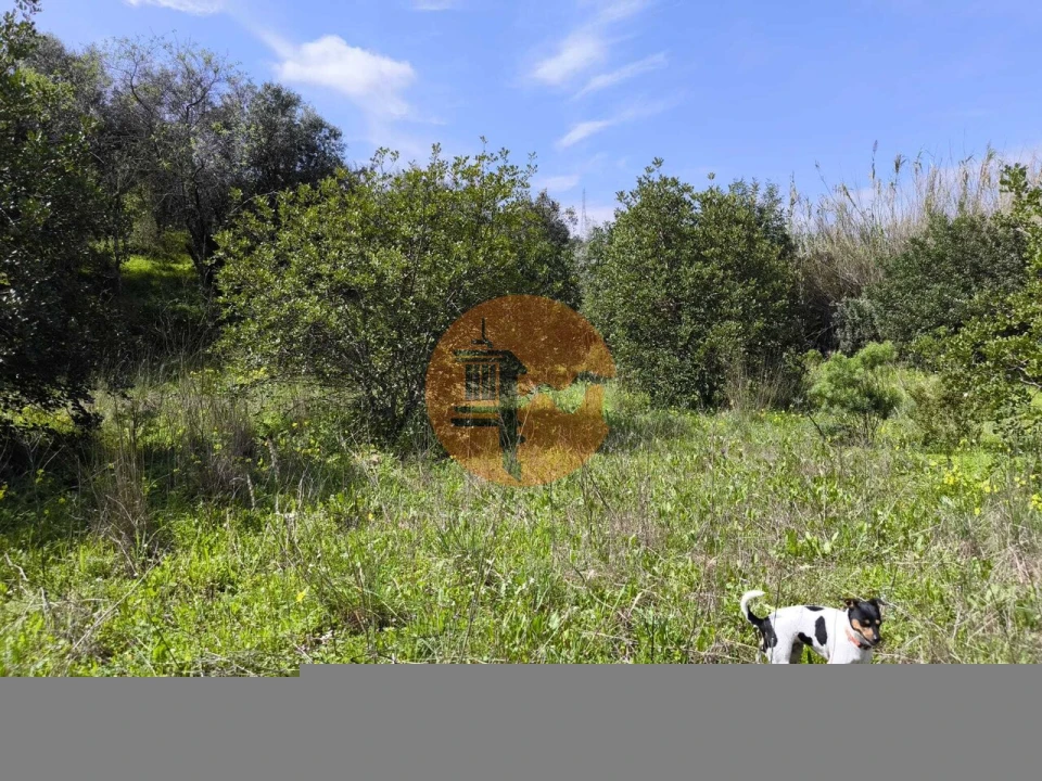 Terreno para Venda em Santa Catarina da Fonte do Bispo Foto 70