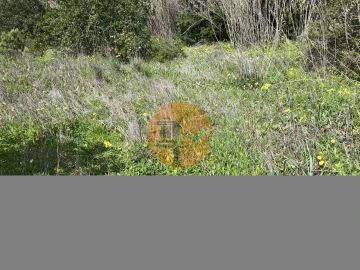 Terreno para Venda em Santa Catarina da Fonte do Bispo