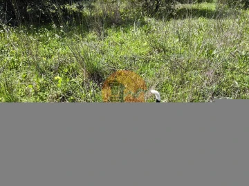 Terreno para Venda em Santa Catarina da Fonte do Bispo