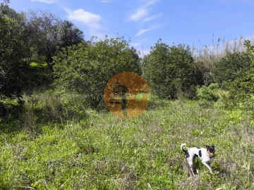 Terreno para Venda em Santa Catarina da Fonte do Bispo