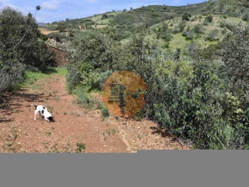Terreno para Venda em Santa Catarina da Fonte do Bispo