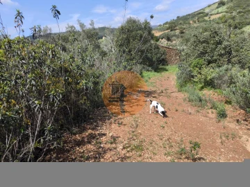 Terreno para Venda em Santa Catarina da Fonte do Bispo