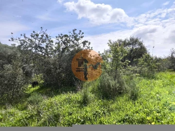 Terreno para Venda em Santa Catarina da Fonte do Bispo