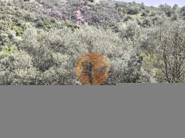 Terreno para Venda em Santa Catarina da Fonte do Bispo