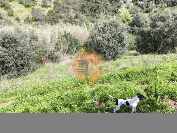 Terreno para Venda em Santa Catarina da Fonte do Bispo