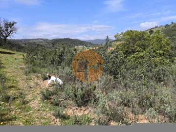 Terreno para Venda em Santa Catarina da Fonte do Bispo