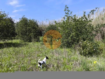 Terreno para Venda em Santa Catarina da Fonte do Bispo