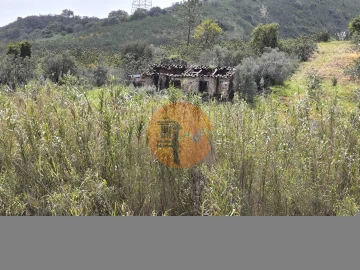 Terreno para Venda em Santa Catarina da Fonte do Bispo