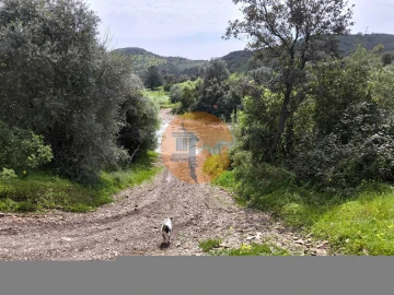 Terreno para Venda em Santa Catarina da Fonte do Bispo