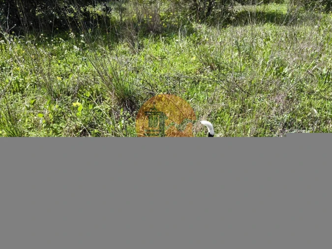 Terreno para Venda em Santa Catarina da Fonte do Bispo Foto 22