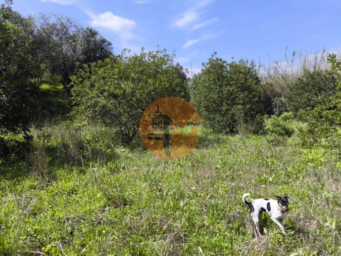 Terreno para Venda em Santa Catarina da Fonte do Bispo Foto 10