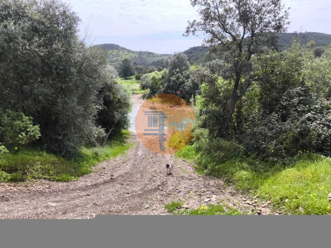 Terreno para Venda em Santa Catarina da Fonte do Bispo Foto 18
