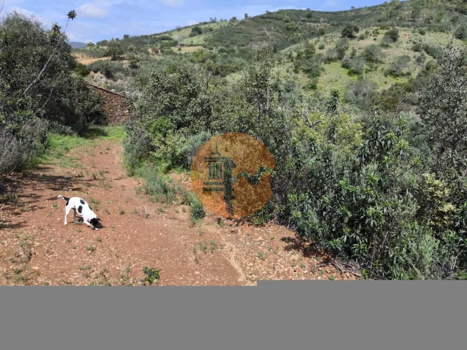 Terreno para Venda em Santa Catarina da Fonte do Bispo Foto 21