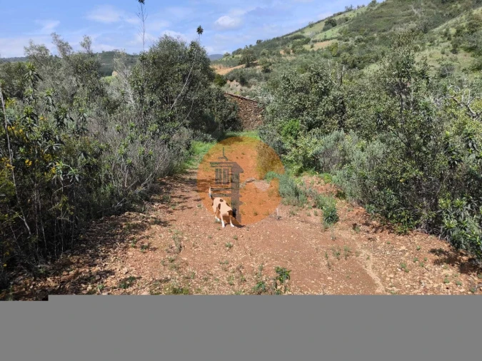 Terreno para Venda em Santa Catarina da Fonte do Bispo Foto 23