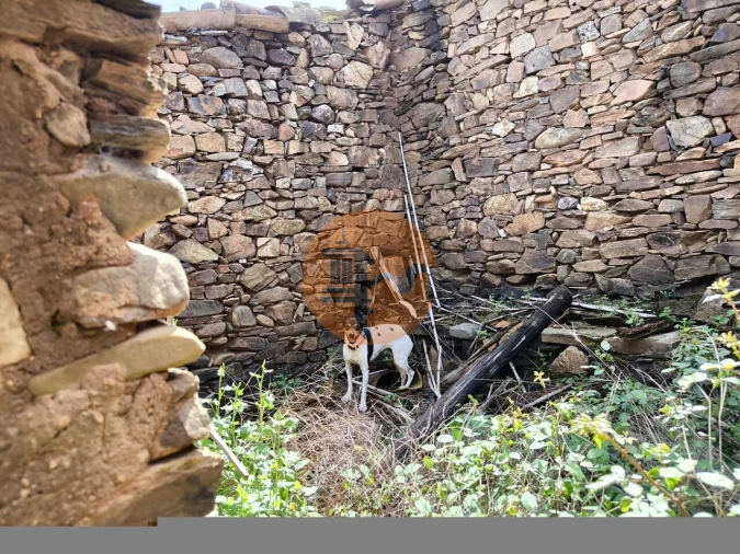 Terreno para Venda em Santa Catarina da Fonte do Bispo Foto 45